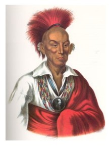 chiefblackhawk